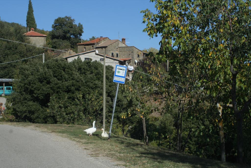 L'Ariete ξενώνας Montone  Εξωτερικό φωτογραφία